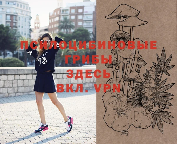 стаф Аркадак