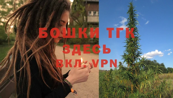 стаф Армянск