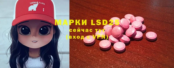 стаф Аркадак