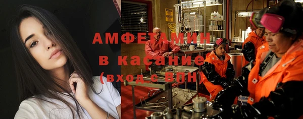 стаф Аркадак
